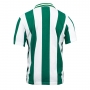 Camisa Coritiba retrô- Alex 1995