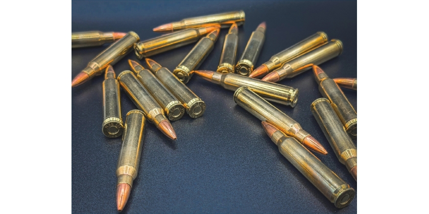 Porte e documentação de arma: quanto tempo demora em 2026